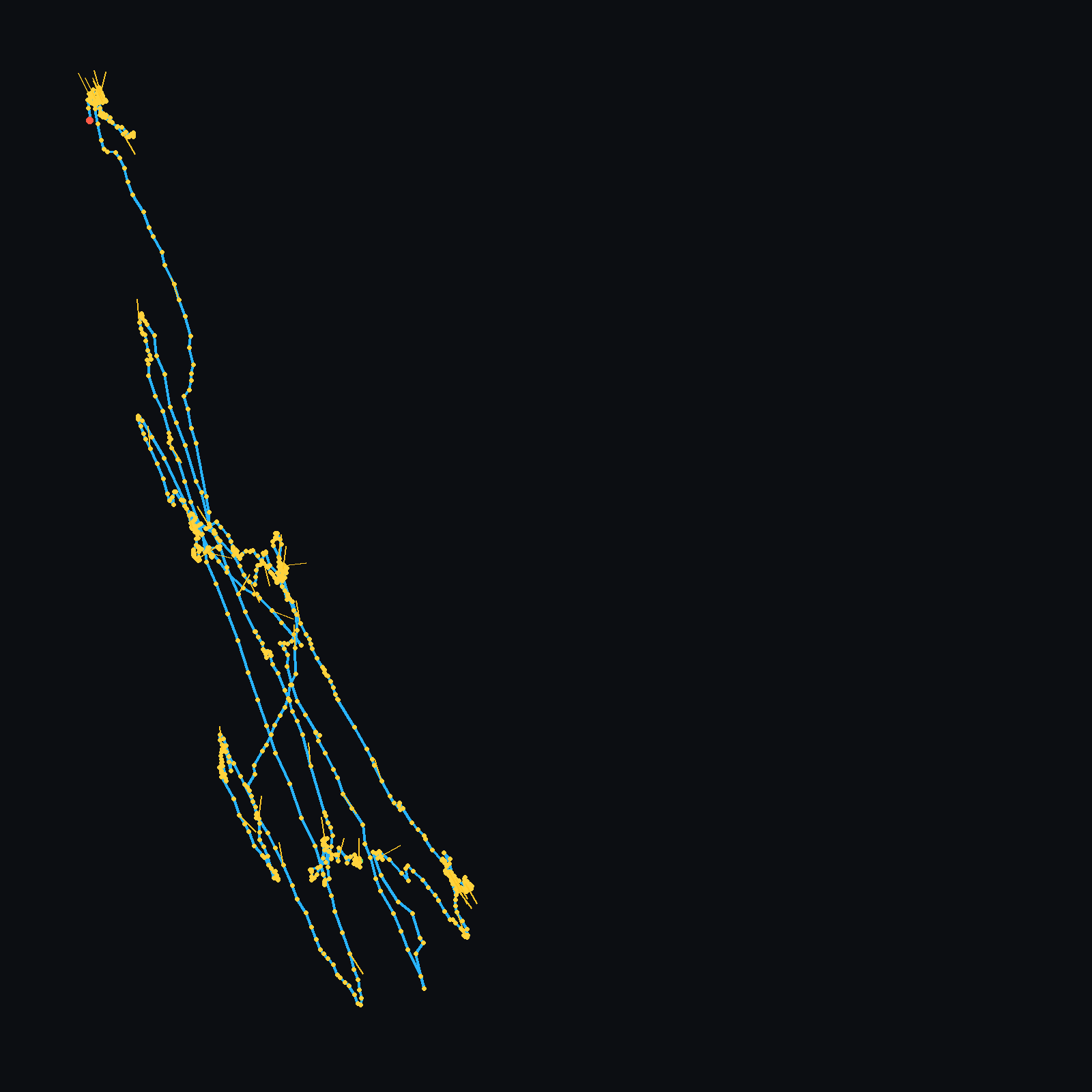 Bird's-eye trajectory